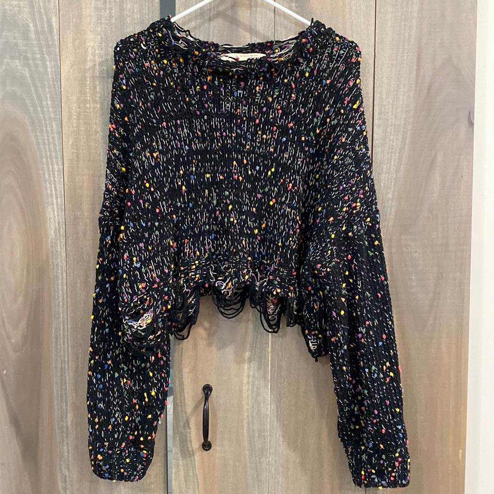 Lizard Thicket | Confetti Sweater